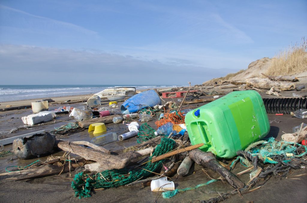 The island of plastic in the Pacific Ocean EvoNews