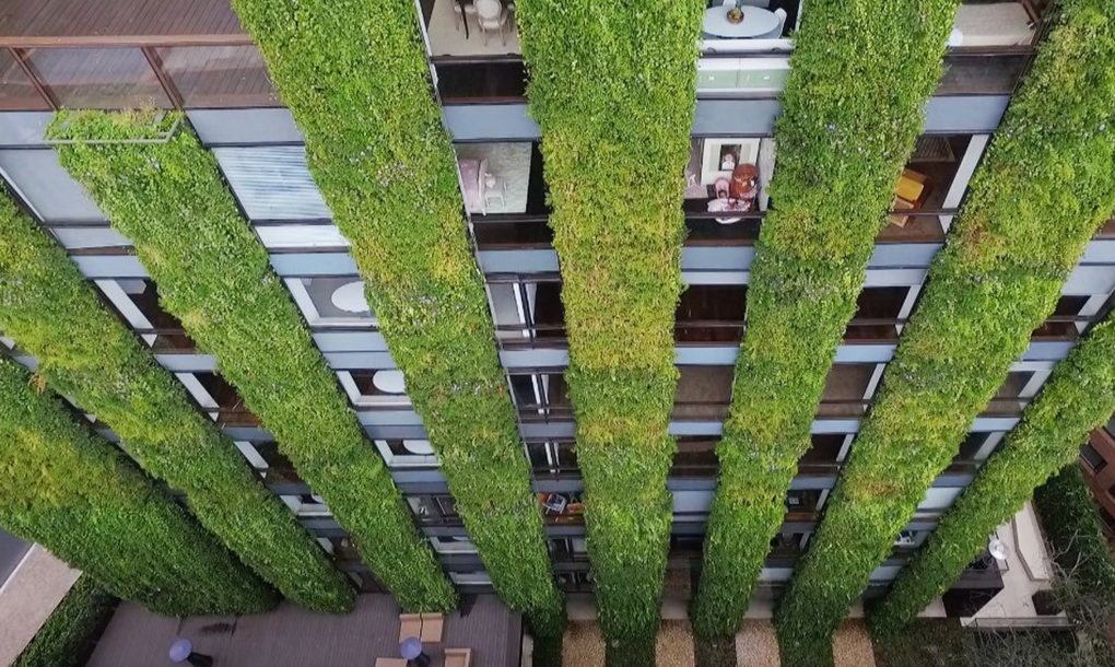 World's largest vertical garden