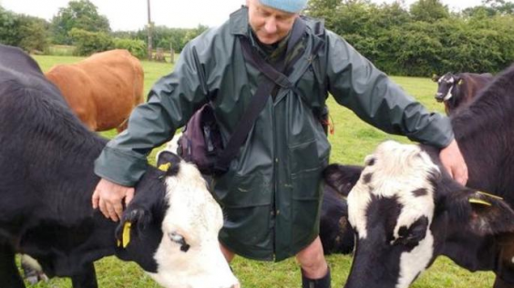Vegetarian farmer donates cow herd to animal sanctuary