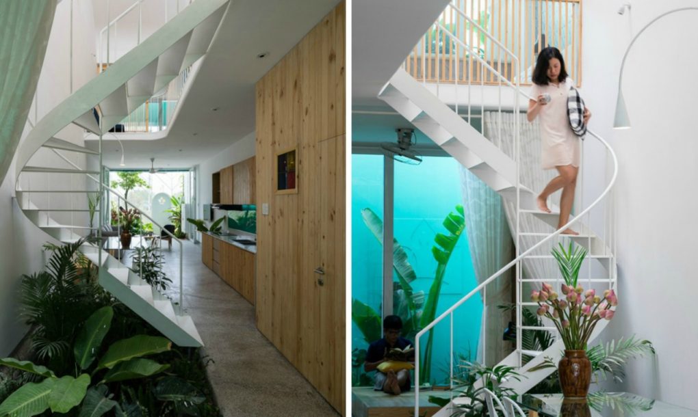 This see-through garden house lets plants soak up the sun