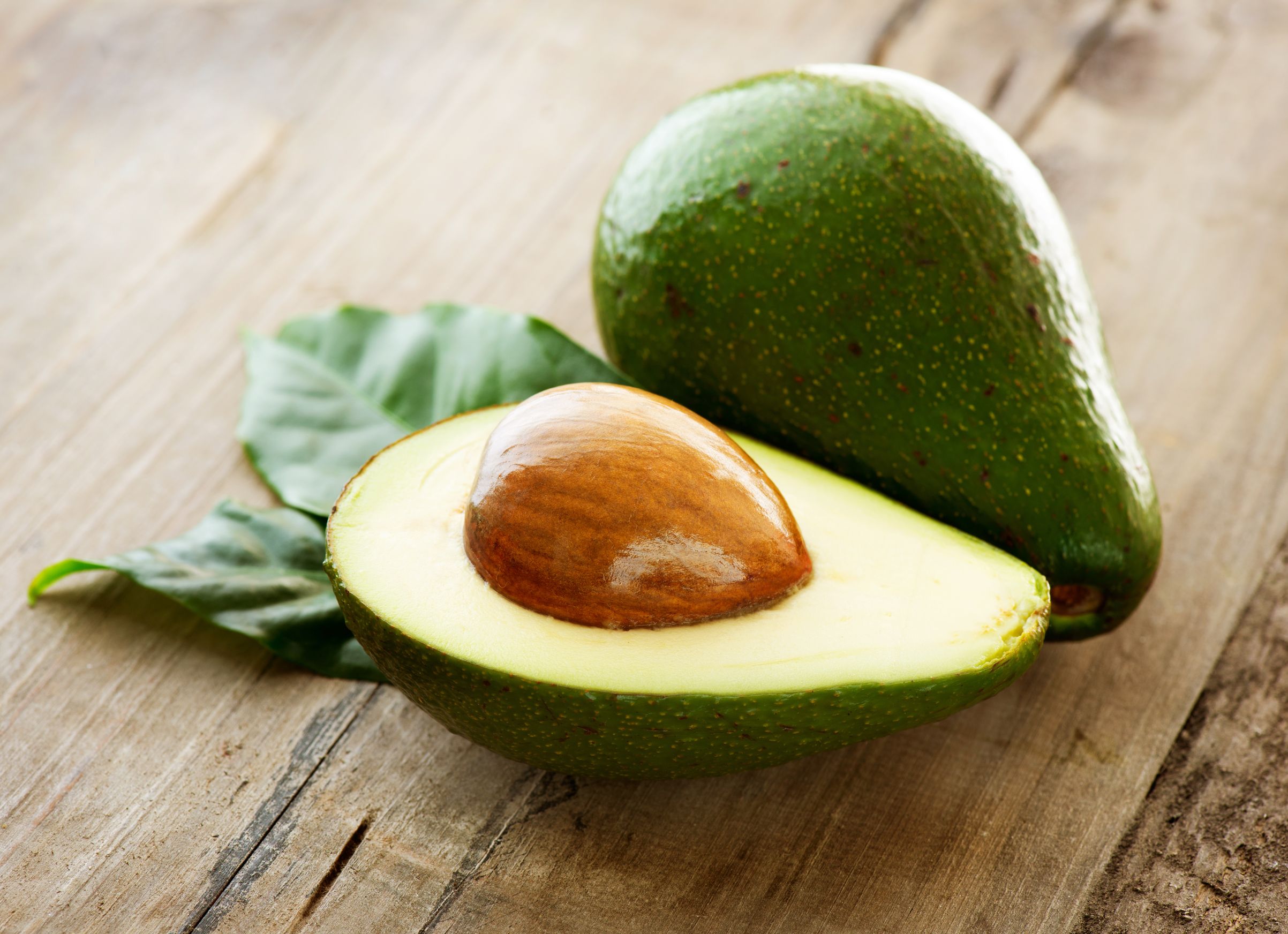 Keep your pet away from avocados