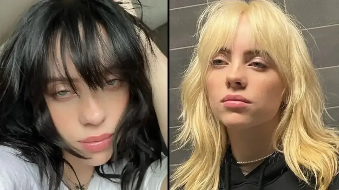 Billie Eilish Loses 100,000 Followers In An Hour After Posting One Photo