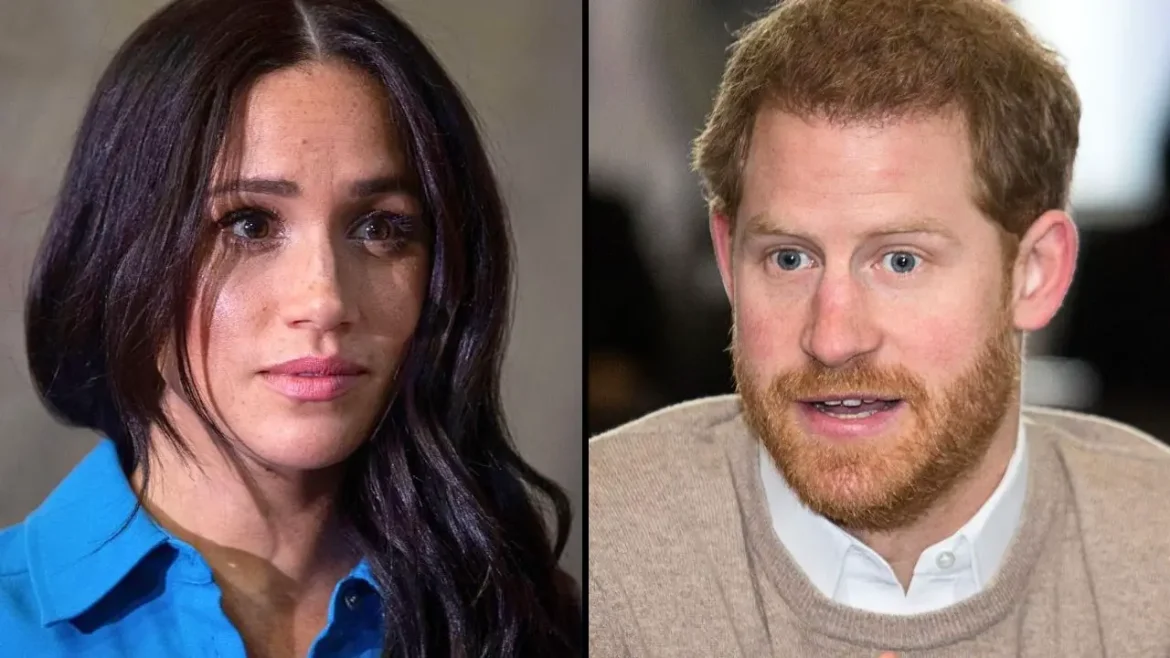 meghan markle prince harry hints at professional separation